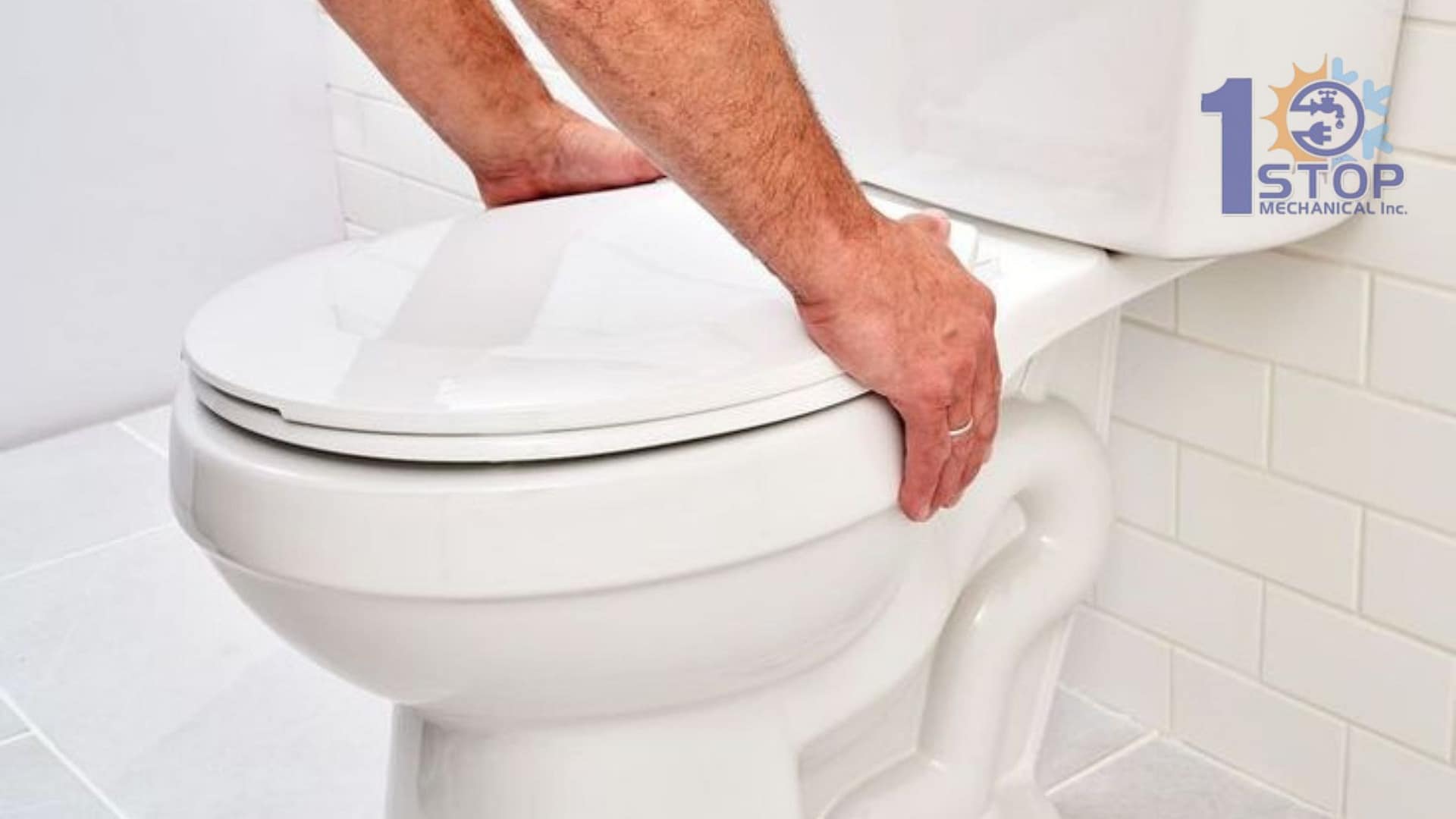 Toilet repair Woodbridge VA
